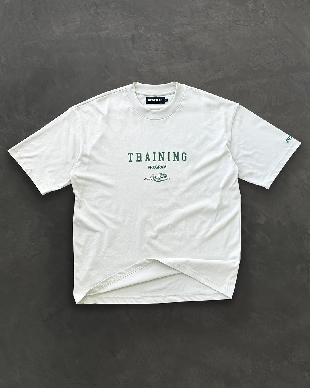 Training Program T-Shirt - Grey
