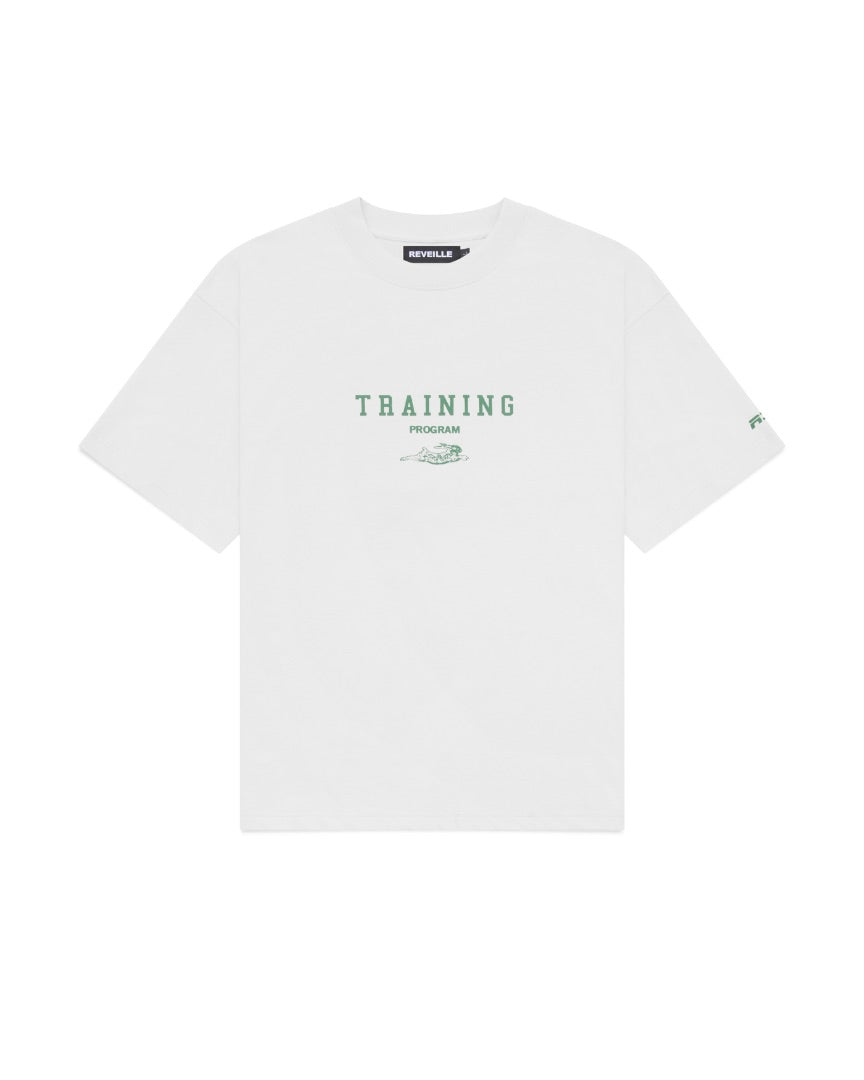 Training Program T-Shirt - Grey
